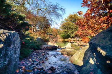 Wroclaw, Polonya - 18 Ekim 2019: Japon Bahçesi, Polonya 'nın Wroclaw kentinde bulunan Pergola ve Centennial Hall yakınlarında yer almaktadır. 1913 'teki Dünya Fuarı' ndan sonraki izleri temsil ediyor..