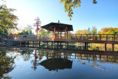 Wroclaw, Polonya - 18 Ekim 2019: Japon Bahçesi, Polonya 'nın Wroclaw kentinde bulunan Pergola ve Centennial Hall yakınlarında yer almaktadır. 1913 'teki Dünya Fuarı' ndan sonraki izleri temsil ediyor..