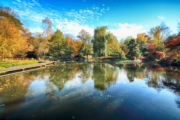 Wroclaw Polonia Octubre 2019 Jardín Japonés Está Situado Las Inmediaciones — Foto de Stock