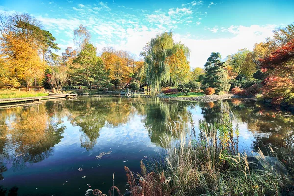 Wroclaw Polonia Ottobre 2019 Japanese Garden Trova Nelle Vicinanze Della — Foto Stock