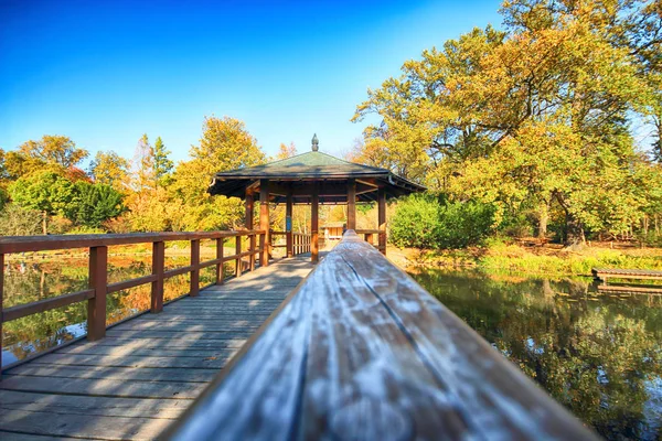 Wroclaw Polonia Octubre 2019 Jardín Japonés Está Situado Las Inmediaciones — Foto de Stock