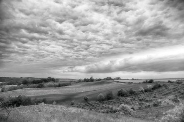 Mayısın sonunda güzel tarlalar ve bulutlu gökyüzü. Wroclaw, Polonya, Avrupa yakınlarındaki Trzebnica tepelerinden görüntü. Siyah beyaz fotoğraf..