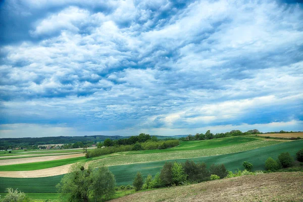 Schöne Grüne Wiesen Und Bewölkter Himmel Ende Mai Blick Vom — Stockfoto