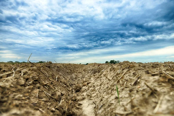 Frisch Gepflügtes Feld Ende Mai Blick Vom Trzebnica Gebirge Der — Stockfoto