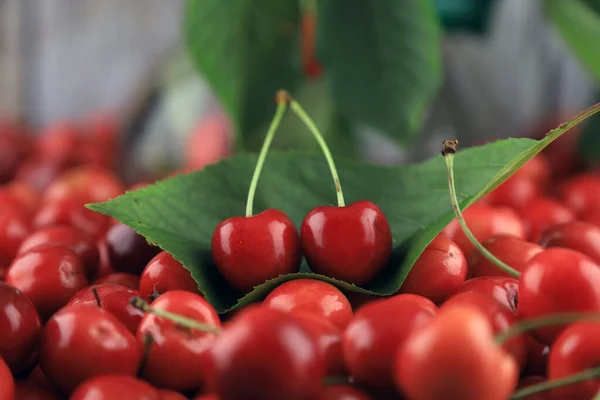 Fresh Healthy Real Cherries Organic Farming Ecological Harvest Wood Background — Stock Photo, Image