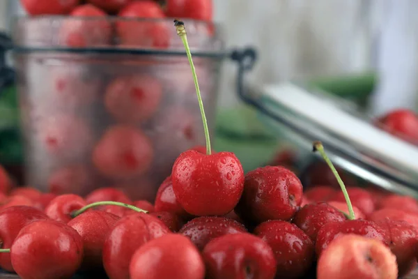 Fresh, healthy, real cherries from organic farming, ecological harvest on wood background.