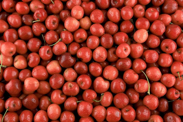 Fresh Healthy Real Cherries Organic Farming Ecological Harvest Background — Stock Photo, Image