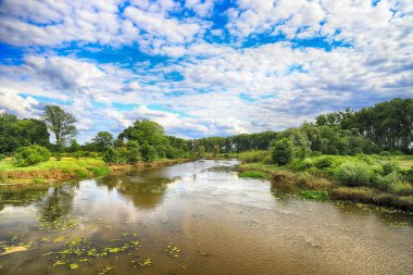 Oder Nehri (Odra Nehri), Polonya 'nın Wroclaw eyaletinin Ratowice kasabasındaki yaylım ateşine yakın. Vahşi, el değmemiş doğa. Güneşli, yaz günü.