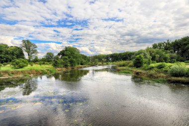 Oder Nehri (Odra Nehri), Polonya 'nın Wroclaw eyaletinin Ratowice kasabasındaki yaylım ateşine yakın. Vahşi, el değmemiş doğa. Güneşli, yaz günü.