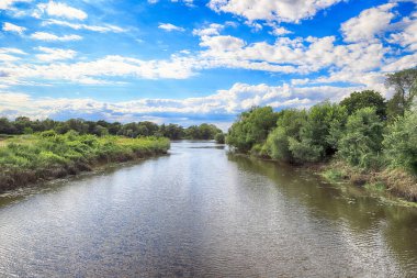 Oder Nehri (Odra Nehri), Polonya 'nın Wroclaw eyaletinin Ratowice kasabasındaki yaylım ateşine yakın. Vahşi, el değmemiş doğa. Güneşli, yaz günü.