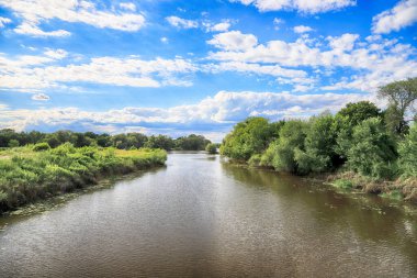 Oder Nehri (Odra Nehri), Polonya 'nın Wroclaw eyaletinin Ratowice kasabasındaki yaylım ateşine yakın. Vahşi, el değmemiş doğa. Güneşli, yaz günü.
