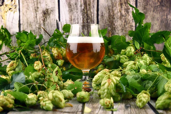 Glass of craft beer and fresh hop cones on a wooden background.