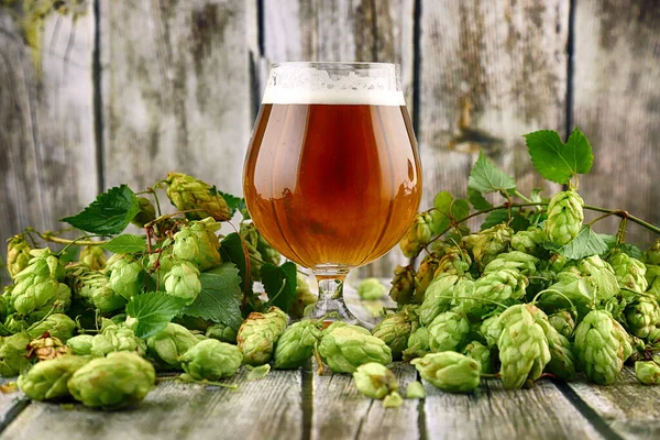 Glass of craft beer and fresh hop cones on a wooden background.