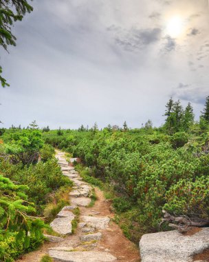 Szrenica yakınlarındaki Dev Dağlar 'daki turistik patika (deniz seviyesinden 1362 metre). Polonya ile Çek Cumhuriyeti arasındaki sınırda yürüyüş yolu.