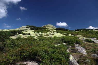 Labski Szczyt veya Violik (Çekçe: 