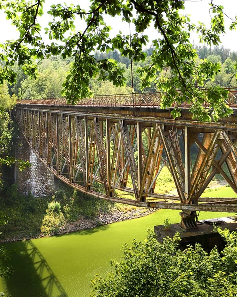 Pilchowice Polónia Agosto 2020 Ponte Ferroviária Sobre Lago Pilchowice Que — Fotografia de Stock
