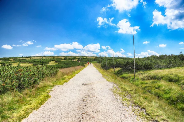 Dev Dağlar 'da turist gezisi. Polonya ile Çek Cumhuriyeti arasındaki sınırda yürüyüş yolu.