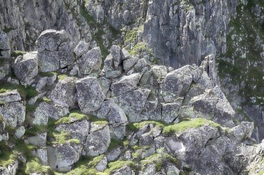 Sniezne Kotly 'nin yaz manzarası (kelimenin tam anlamıyla Karlı Çukurlar, Karlı Sirk, deniz seviyesinden 1175 metre yukarıda) Karkonosze Ulusal Parkı' ndaki Sudetes 'de Polonya' da yer alan iki buzul sirkidir..