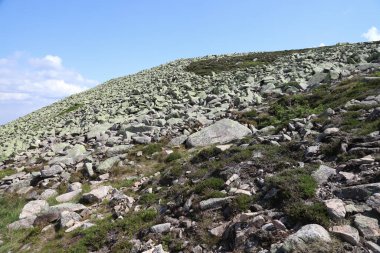 Sniezne Kotly 'nin yaz manzarası (kelimenin tam anlamıyla Karlı Çukurlar, Karlı Sirk, deniz seviyesinden 1175 metre yukarıda) Karkonosze Ulusal Parkı' ndaki Sudetes 'de Polonya' da yer alan iki buzul sirkidir..