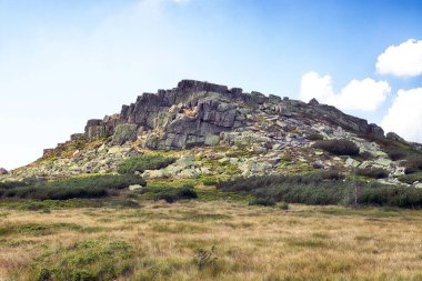 Labski Szczyt veya Violik (Çekçe: 