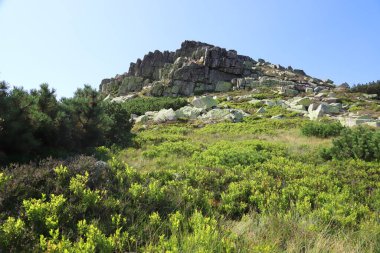 Labski Szczyt veya Violik (Çekçe: 