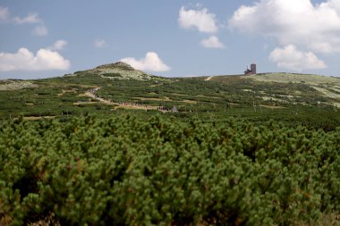 Labski Szczyt veya Violik (Çekçe: 