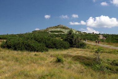 Labski Szczyt veya Violik (Çekçe: 