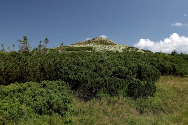 Labski Szczyt veya Violik (Çekçe: 