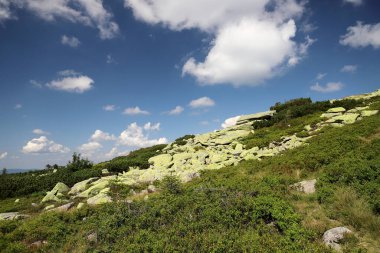 Labski Szczyt veya Violik (Çekçe: 