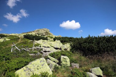 Labski Szczyt veya Violik (Çekçe: 