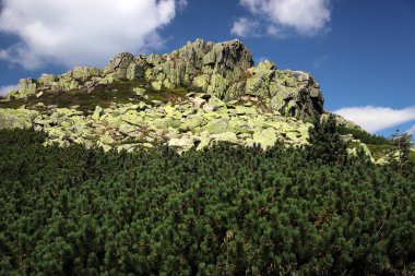 Labski Szczyt veya Violik (Çekçe: 