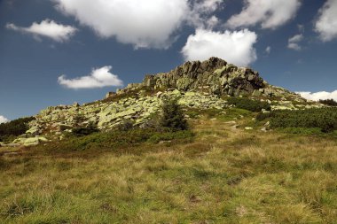 Labski Szczyt veya Violik (Çekçe: 