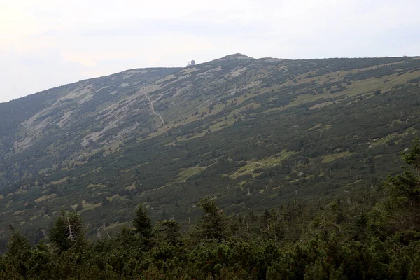 Turiststig Jätte Bergen Nära Szrenica 1362 Över Havet Vandringsled Gränsen — Stockfoto