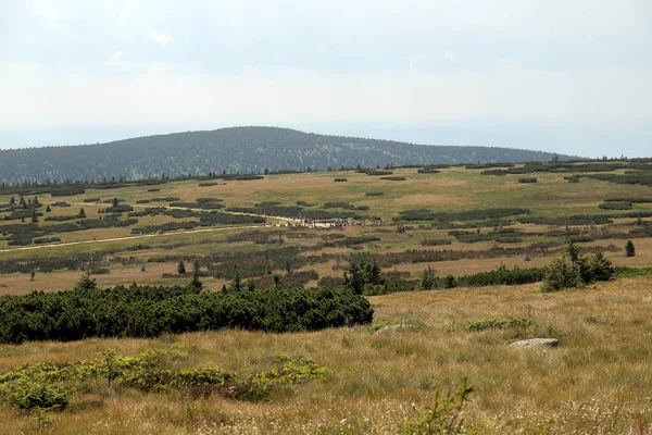 Toeristische Route Het Reuzengebergte Wandelpad Grens Tussen Polen Tsjechië — Stockfoto