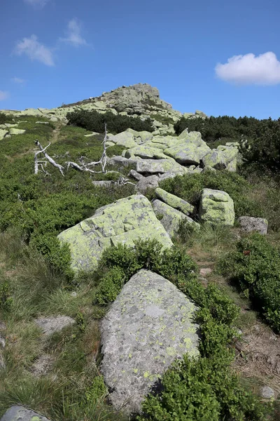 Formação Rochosa Labski Szczyt Violik Polonês Checo Pico Montanha 1471 — Fotografia de Stock
