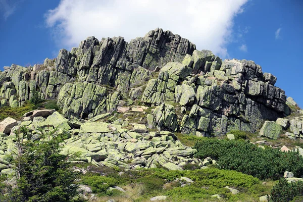 Formação Rochosa Labski Szczyt Violik Polonês Checo Pico Montanha 1471 — Fotografia de Stock