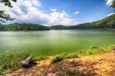 Yazın ortasında Pilchowice Gölü, Polonya, Avrupa.