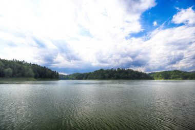 Yazın ortasında Pilchowice Gölü, Polonya, Avrupa.