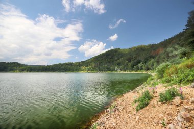 Yazın ortasında Pilchowice Gölü, Polonya, Avrupa.