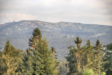 Sniezne Kotly 'nin yaz manzarası (kelimenin tam anlamıyla Karlı Çukurlar, Karlı Sirk, deniz seviyesinden 1175 metre yukarıda) Karkonosze Ulusal Parkı' ndaki Sudetes 'de Polonya' da yer alan iki buzul sirkidir..