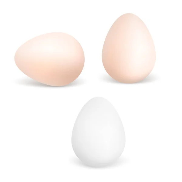 Tři vektorová realistické bílých a hnědých vajec. Kuře vejce izolovaných na bílém pozadí. Vektor Eps10 — Stockový vektor