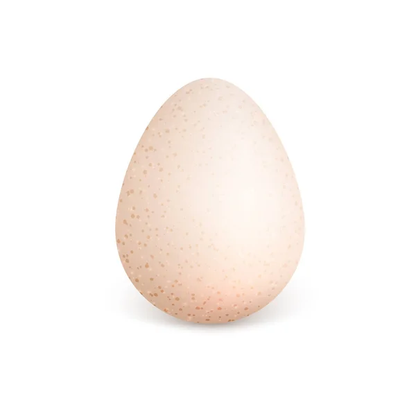 Vektor jediné realistické zvířecí vejce. Slepičí vejce izolovaných na bílém pozadí. Vektorové ilustrace. — Stockový vektor