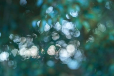 Doğal yeşil arka plan, bulanık sahne