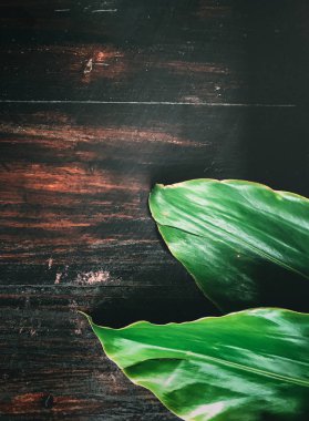 Kahverengi ahşap masada yeşil yapraklar