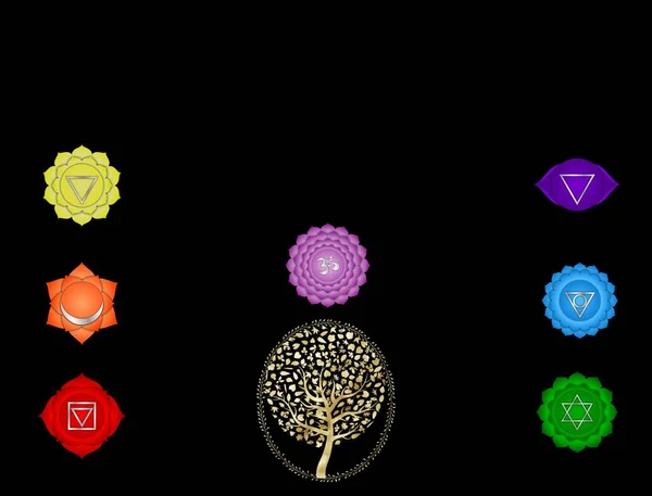 Spiritual background for meditation with chakras, life tree, buddha statue and mandala isolated in color background