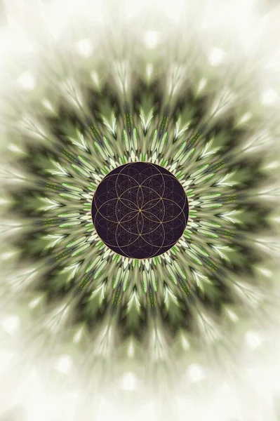 Spiritual background for meditation with sacred geometry in color mandala
