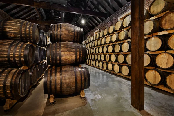 Fileiras de tambores alcoólicos em estoque. Destilaria. Conhaque, uísque, vinho, brandy. Álcool em barris — Fotografia de Stock