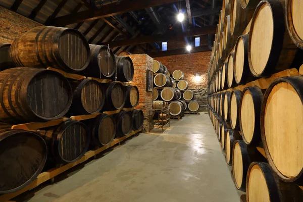 Reihen alkoholischer Fässer werden vorrätig gehalten. Brennerei. Cognac, Whisky, Wein, Brandy. Alkohol in Fässern, Lagerung von Alkohol — Stockfoto