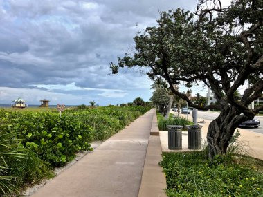 çöp kutularını bir plaj ön yolda