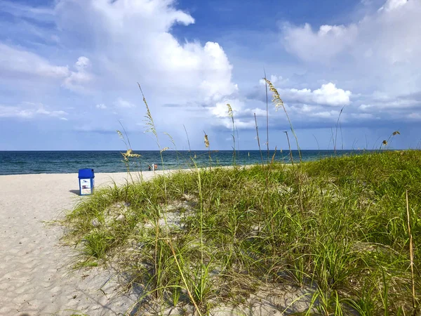 Strand Gras Een Tropisch Eiland — Stockfoto